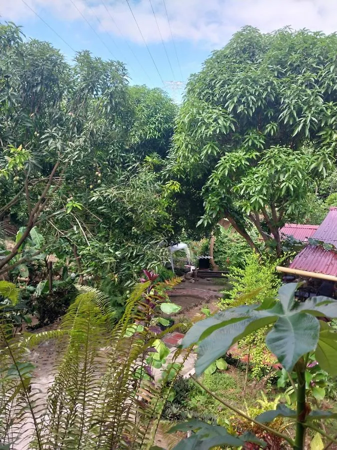 Mi Refugio Tayrona Hotell Santa Marta